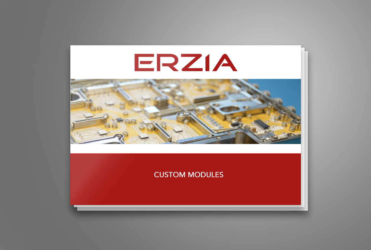 Erzia Custom Integrated Assemblies