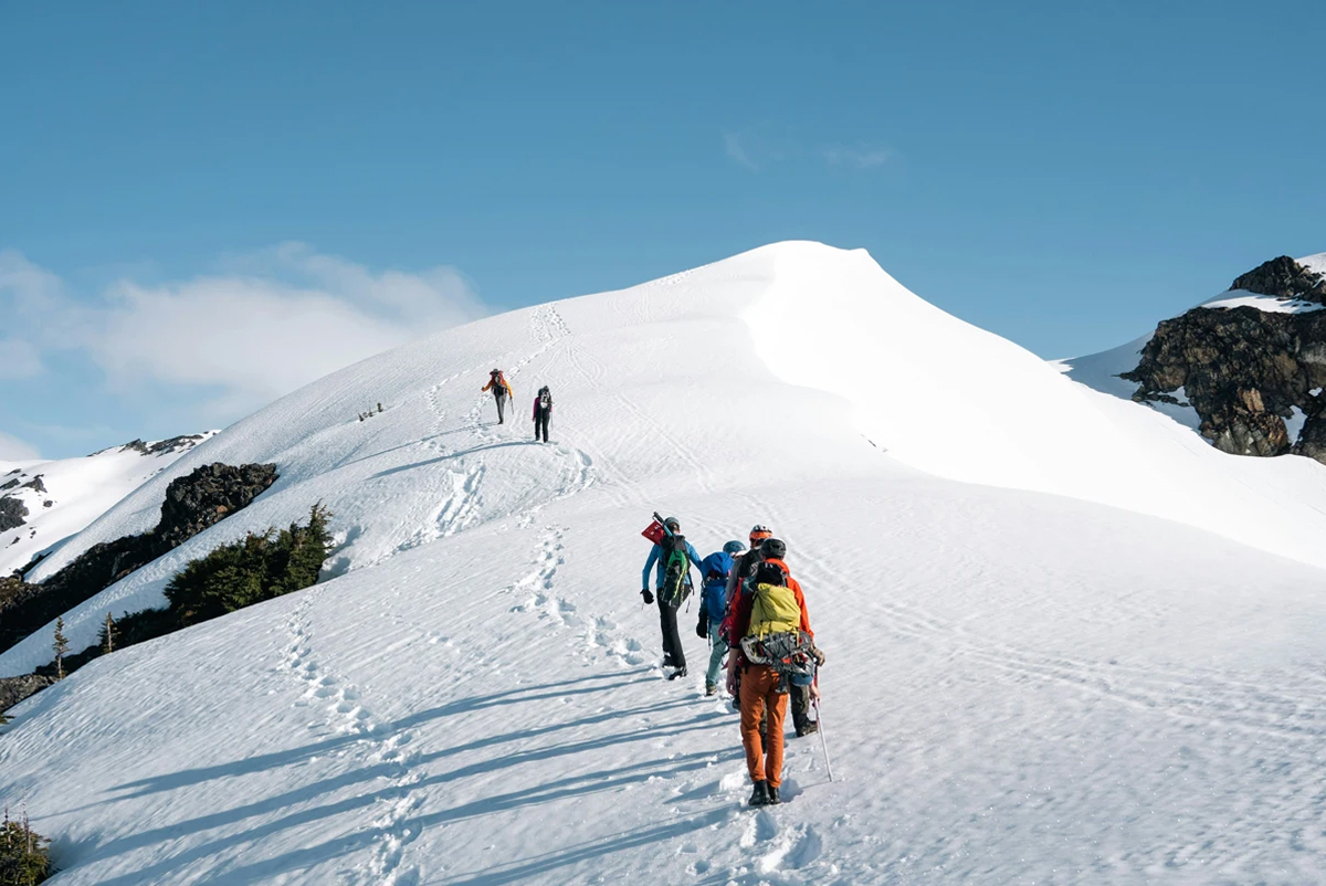 Mountains and Forests
